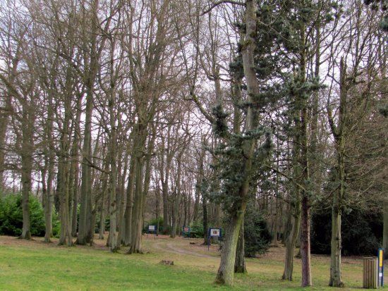 Parc Aux Etoiles