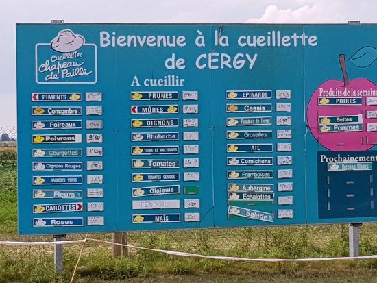 Cueillette de Cergy