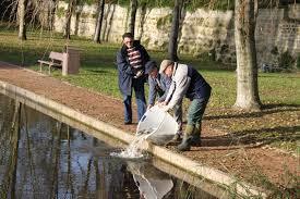Les Etangs de Maubuisson