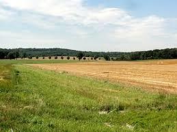 Buttes de Rosne