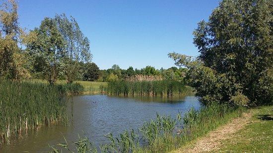 Club de golf de Gonesse